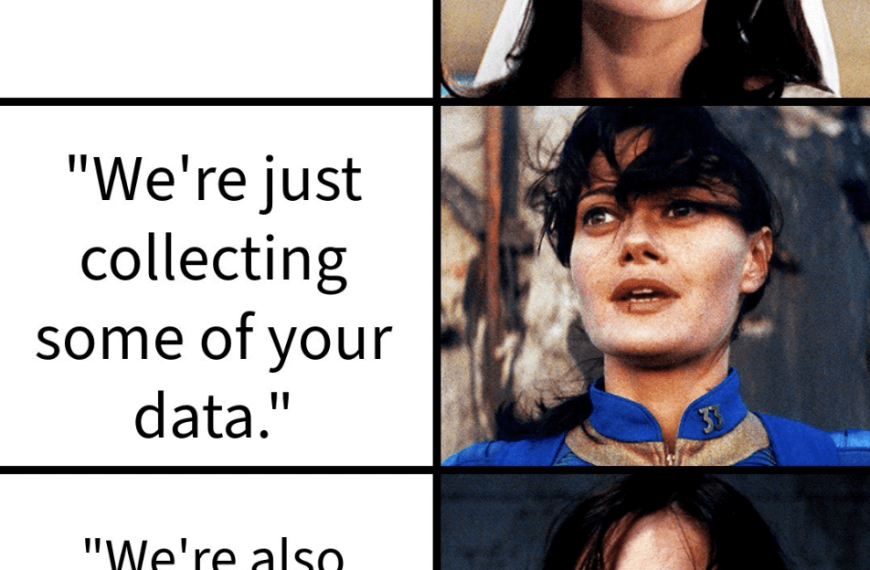 Fallout meme explaining data privacy